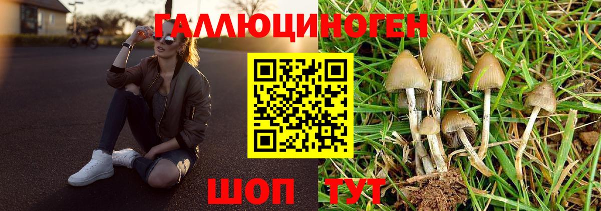 Ялуторовск  Псилоцибиновые грибы прущие грибы  Вход с VPN  Галлюциногенные грибы Psilocybine cubensis 