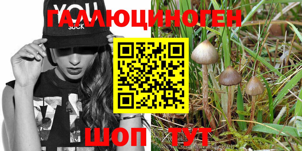 Псилоцибиновые грибы MAGIC MUSHROOMS Ялуторовск